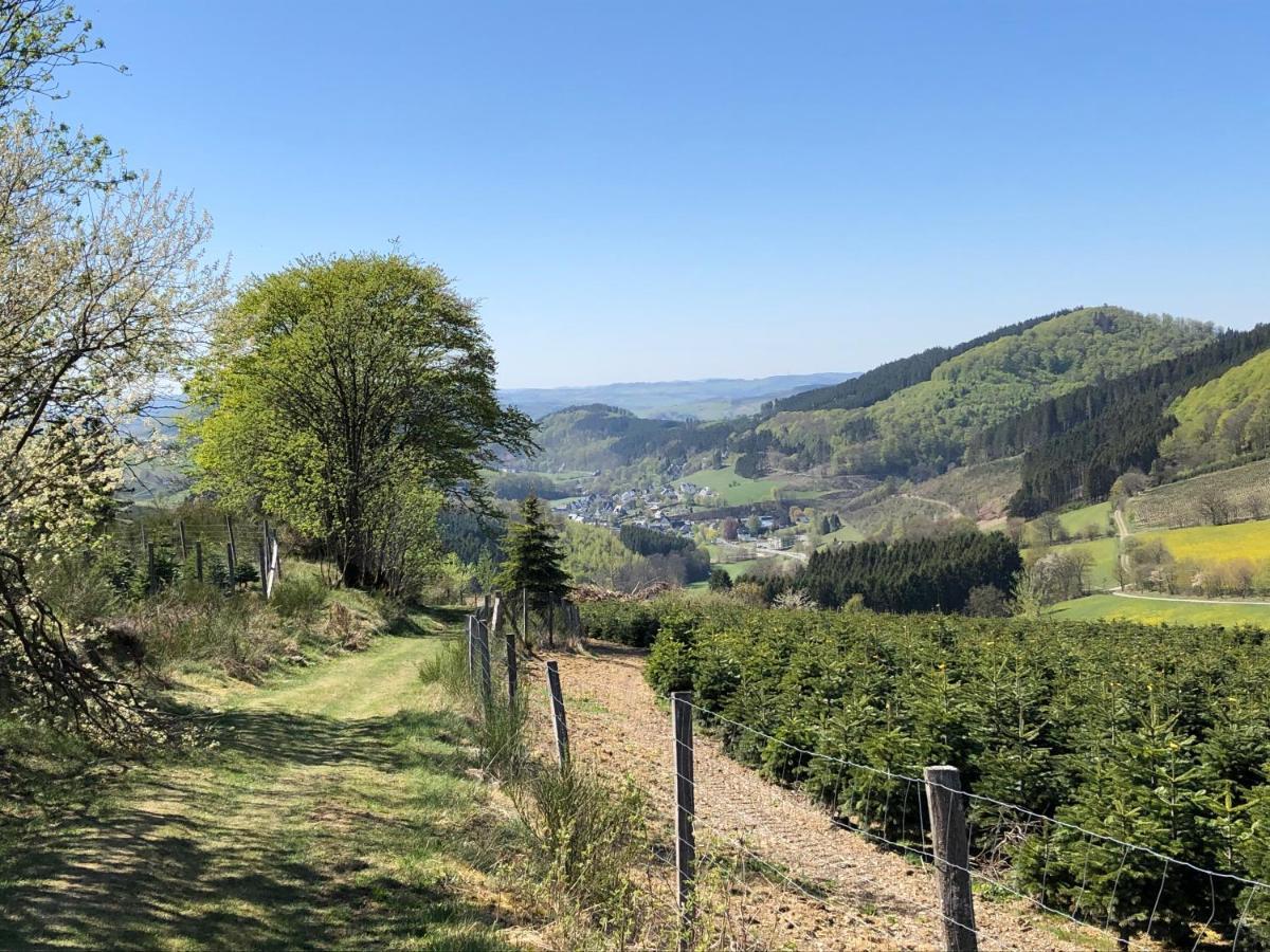 Ferienwohnung Tannenglueck Schmallenberg Exteriér fotografie